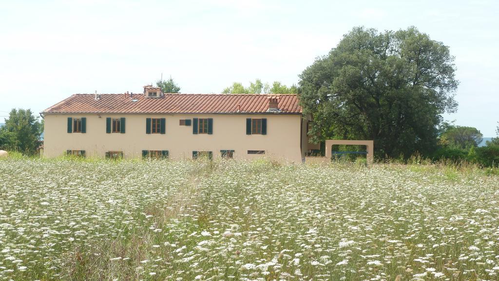 Country house Al Vecchio Leccio