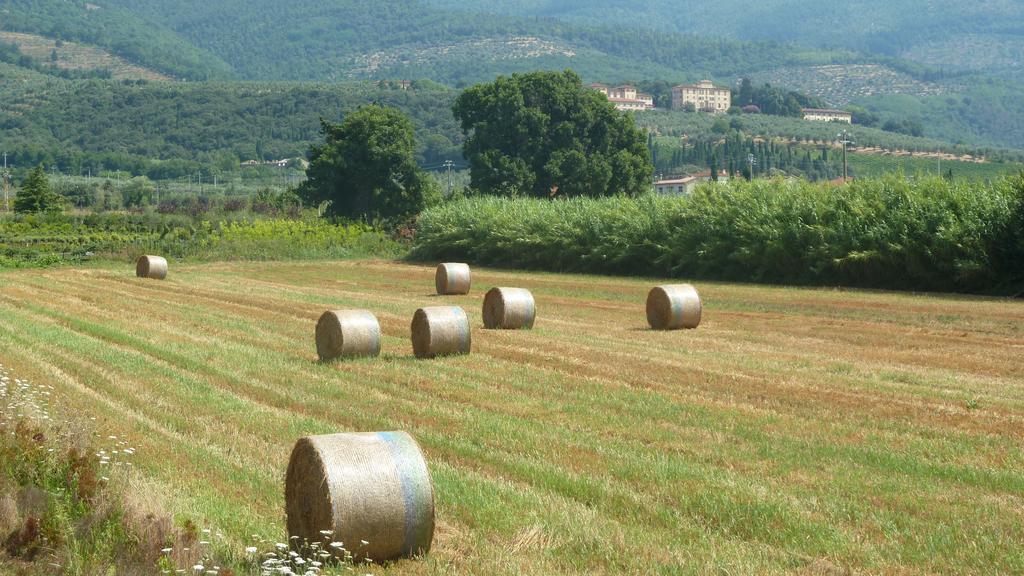 Al Vecchio Leccio Country house Pistoia
