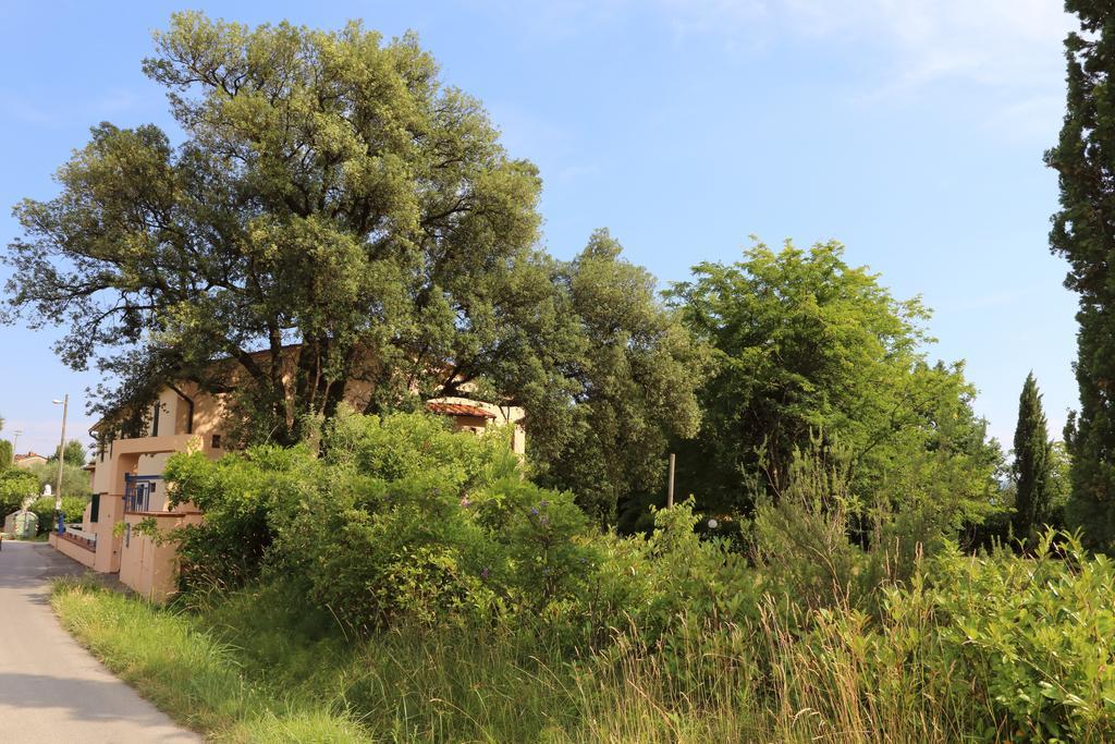 Al Vecchio Leccio Casa rural Pistoya