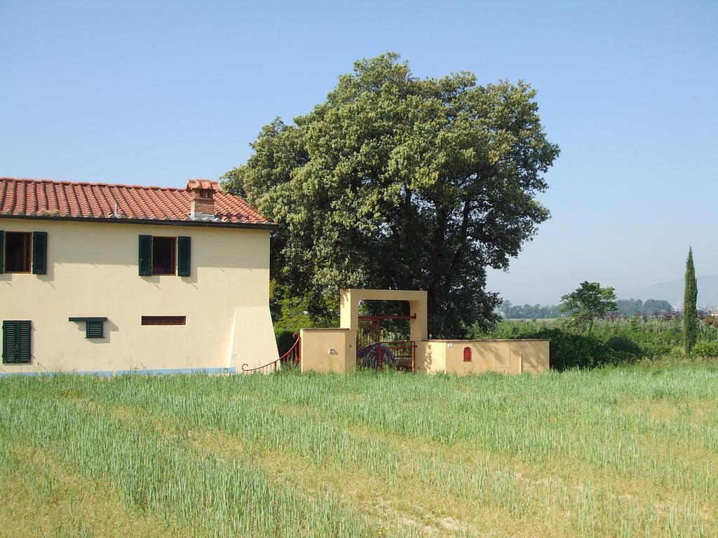 Al Vecchio Leccio Casa rural