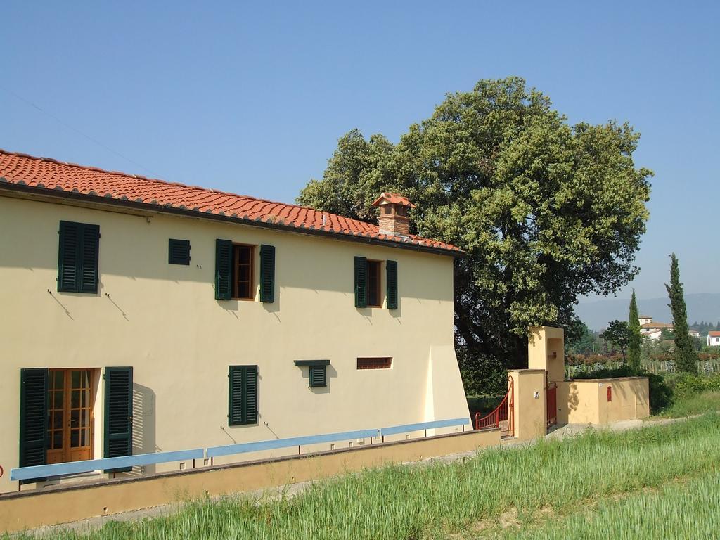 Al Vecchio Leccio