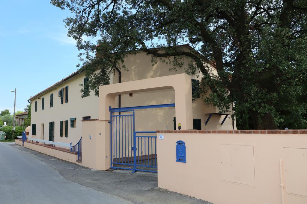 Al Vecchio Leccio