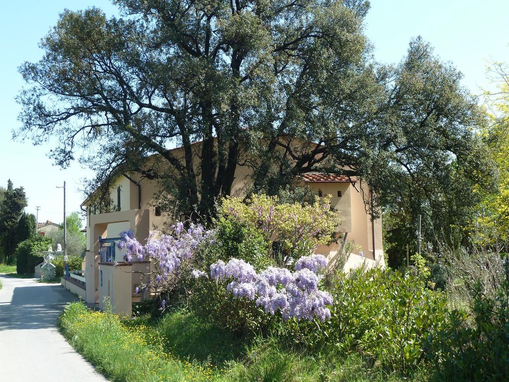 Al Vecchio Leccio Pistoia