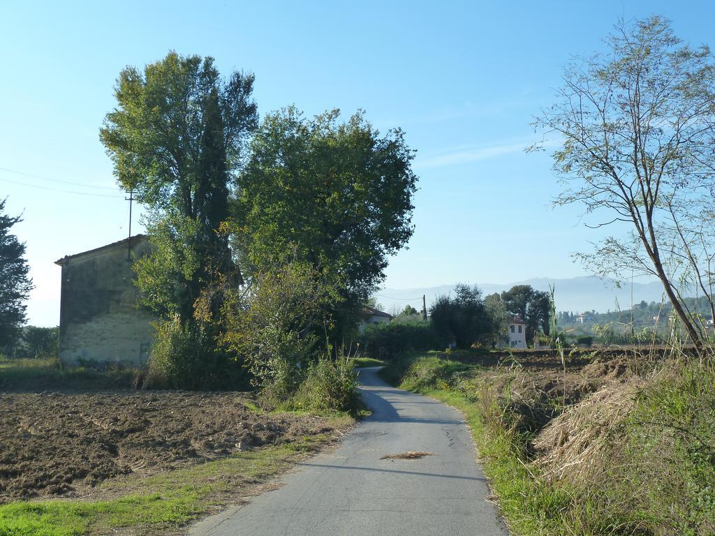 Al Vecchio Leccio Pistoia