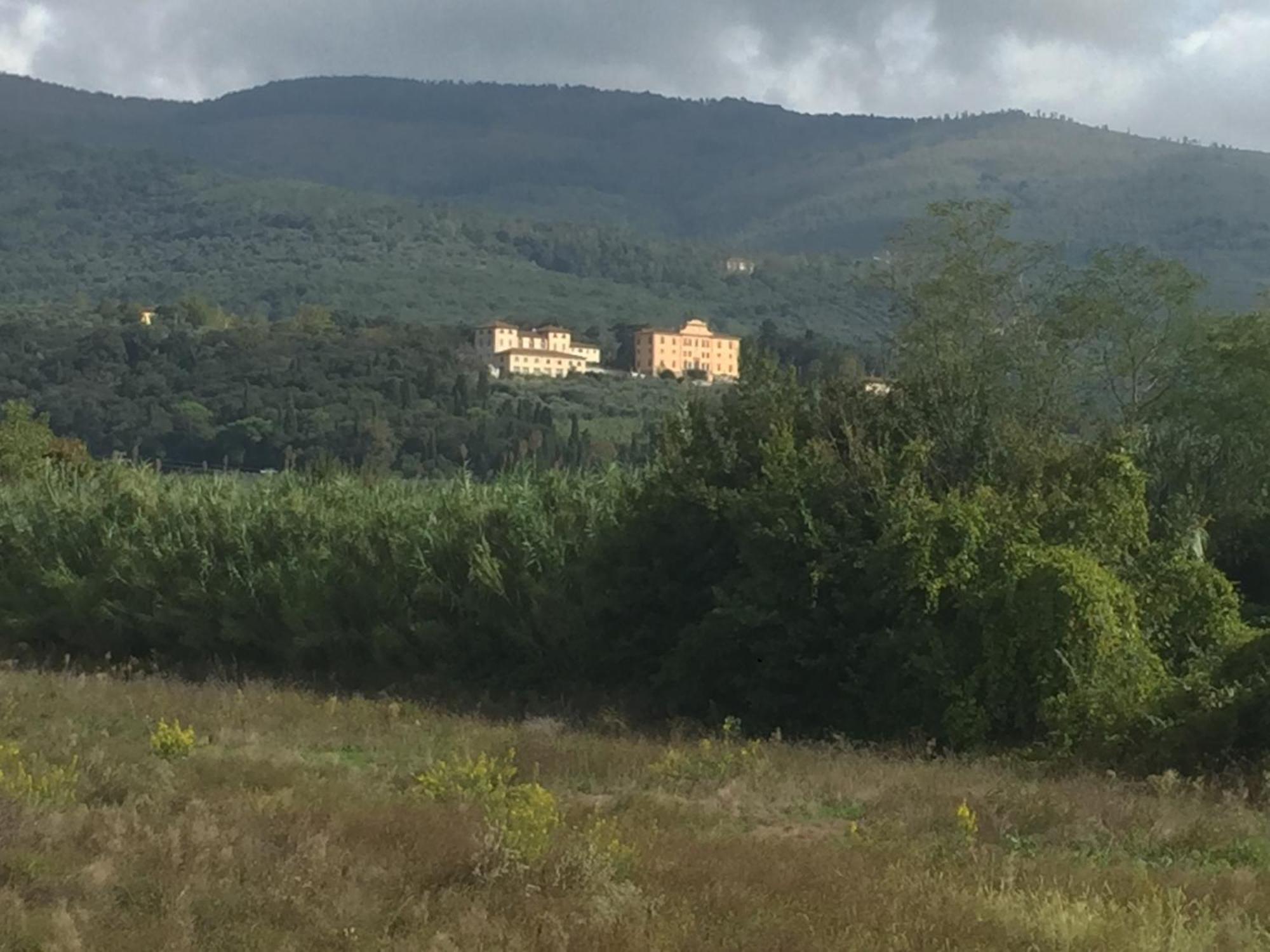 Al Vecchio Leccio Pistoia