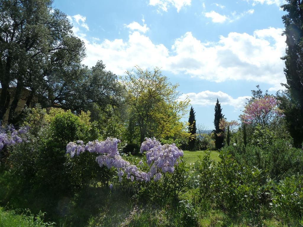 Al Vecchio Leccio